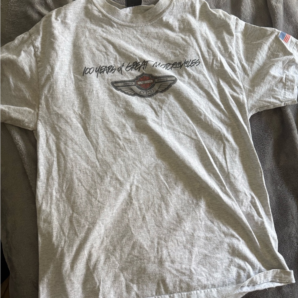 Harley-Davidson Gray Graphic T-Shirt